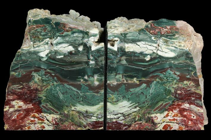 Green & Red Jasper Replaced Petrified Wood Bookends - Oregon #141070